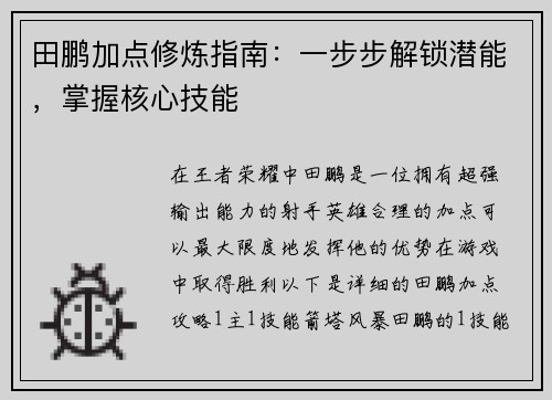 田鹏加点修炼指南：一步步解锁潜能，掌握核心技能